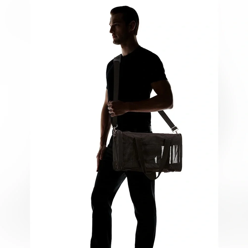 Amazon Basics Soft-Sided Mesh Pet Travel Carrier, Medium, 17 x 10 x 10 Inches